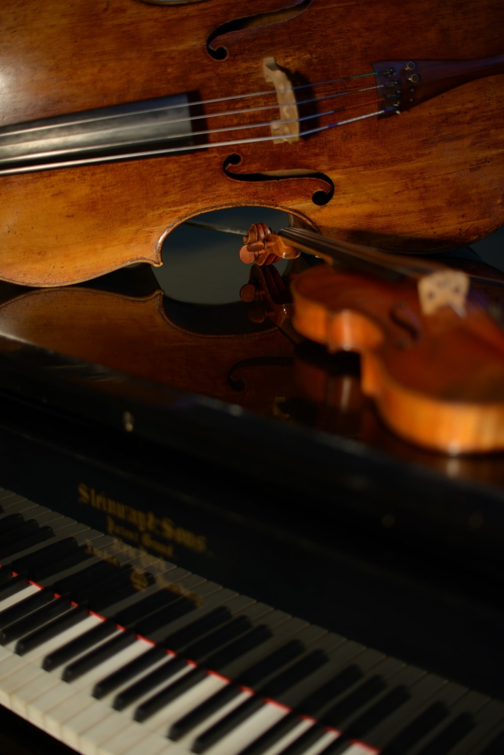 violine